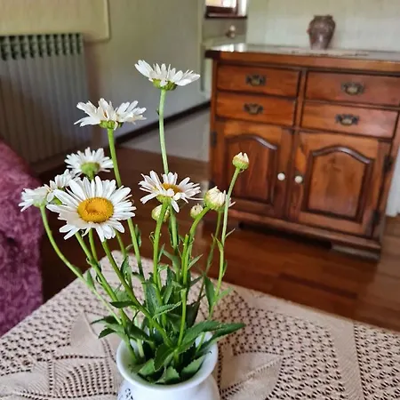 5 Mošćenička Draga