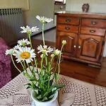 5 Mošćenička Draga